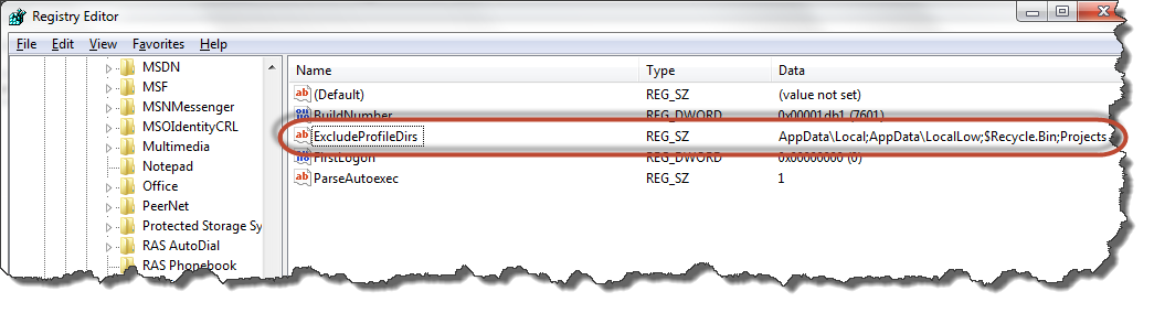 Registry editor ExcludeProileDirs key