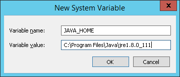 new-system-var-java-home