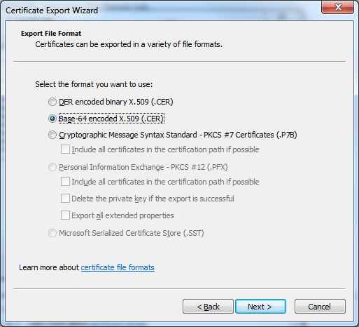 export-base64-certificate